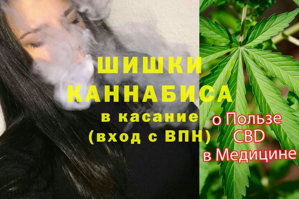 дурь Лагань