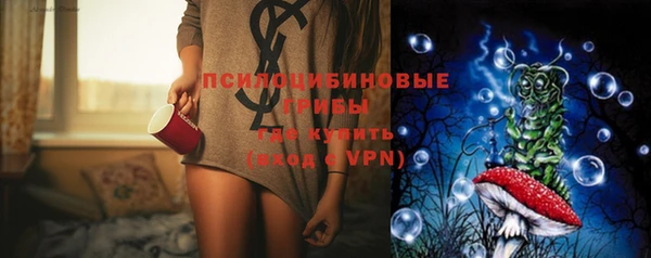 ПСИЛОЦИБИНОВЫЕ ГРИБЫ Лабытнанги
