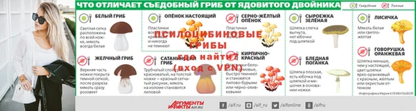 дурь Лагань
