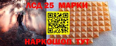 прущие грибы Комсомольск-на-Амуре