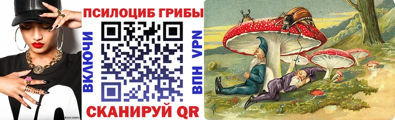 мориарти клад  купить   Туапсе  Псилоцибиновые грибы Magic Shrooms 