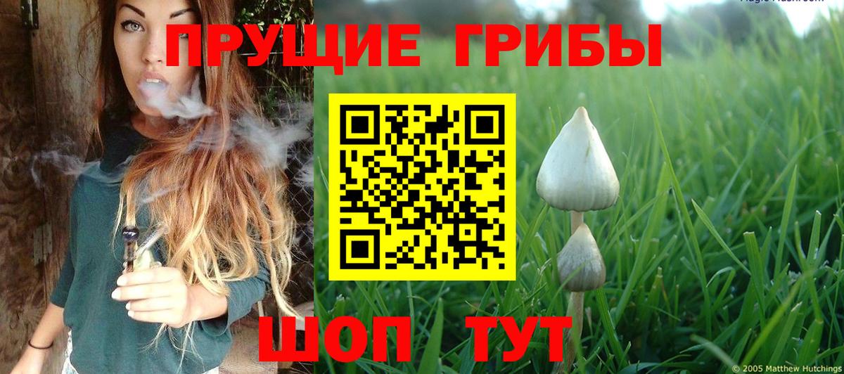 Галлюциногенные грибы мицелий  Псилоцибиновые грибы Magic Shrooms  Вход с VPN  Туапсе 